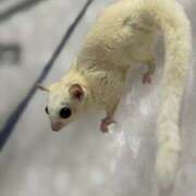 ヒメ日記 2026/04/07 10:00 投稿 るあん 排泄マニア