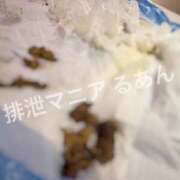 ヒメ日記 2026/04/09 08:00 投稿 るあん 排泄マニア