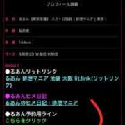 ヒメ日記 2026/04/13 22:00 投稿 るあん 排泄マニア