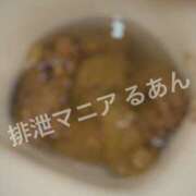 ヒメ日記 2026/04/14 22:00 投稿 るあん 排泄マニア