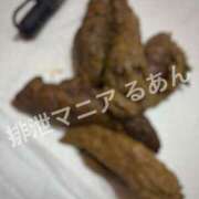 ヒメ日記 2026/04/17 17:32 投稿 るあん 排泄マニア