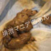 ヒメ日記 2026/04/18 17:00 投稿 るあん 排泄マニア