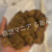 ヒメ日記 2026/04/18 22:00 投稿 るあん 排泄マニア