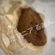 ヒメ日記 2026/04/19 17:00 投稿 るあん 排泄マニア