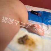 ヒメ日記 2026/04/21 22:00 投稿 るあん 排泄マニア