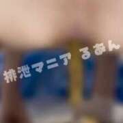 ヒメ日記 2026/04/25 10:00 投稿 るあん 排泄マニア