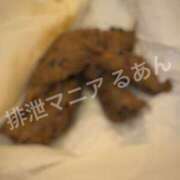 ヒメ日記 2026/04/28 16:41 投稿 るあん 排泄マニア