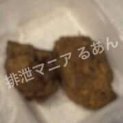 ヒメ日記 2026/05/25 17:00 投稿 るあん 排泄マニア