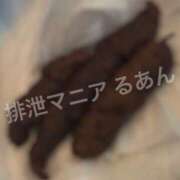 ヒメ日記 2026/06/01 17:00 投稿 るあん 排泄マニア