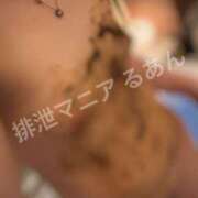 ヒメ日記 2026/06/09 22:00 投稿 るあん 排泄マニア