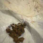 ヒメ日記 2026/06/20 18:30 投稿 るあん 排泄マニア