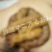 ヒメ日記 2026/06/21 17:00 投稿 るあん 排泄マニア