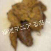 ヒメ日記 2026/06/23 16:00 投稿 るあん 排泄マニア