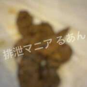 ヒメ日記 2026/06/27 17:30 投稿 るあん 排泄マニア