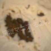 ヒメ日記 2026/06/29 22:00 投稿 るあん 排泄マニア