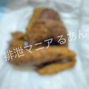 ヒメ日記 2026/07/01 10:00 投稿 るあん 排泄マニア