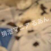 ヒメ日記 2026/07/01 17:00 投稿 るあん 排泄マニア