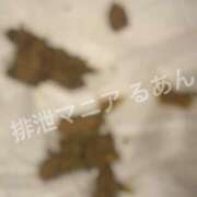 ヒメ日記 2026/07/10 16:00 投稿 るあん 排泄マニア