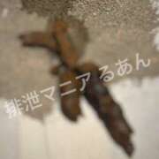 ヒメ日記 2026/07/23 17:00 投稿 るあん 排泄マニア