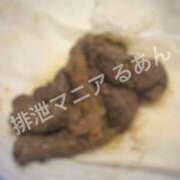 ヒメ日記 2026/07/26 18:30 投稿 るあん 排泄マニア