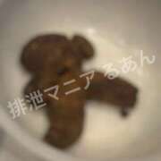ヒメ日記 2026/07/28 22:00 投稿 るあん 排泄マニア