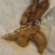 ヒメ日記 2026/08/03 17:00 投稿 るあん 排泄マニア