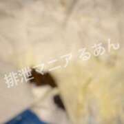 ヒメ日記 2026/08/12 17:00 投稿 るあん 排泄マニア