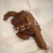 ヒメ日記 2026/09/01 16:00 投稿 るあん 排泄マニア