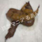 ヒメ日記 2026/09/06 22:00 投稿 るあん 排泄マニア