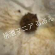 ヒメ日記 2026/09/10 18:30 投稿 るあん 排泄マニア
