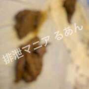 ヒメ日記 2026/09/11 22:00 投稿 るあん 排泄マニア