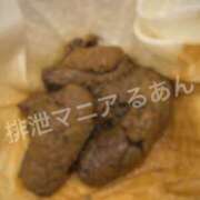 ヒメ日記 2026/09/13 17:00 投稿 るあん 排泄マニア