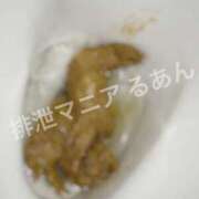 ヒメ日記 2026/09/17 10:00 投稿 るあん 排泄マニア