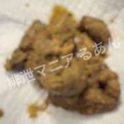 ヒメ日記 2026/09/19 18:00 投稿 るあん 排泄マニア