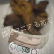 ヒメ日記 2026/09/22 22:00 投稿 るあん 排泄マニア