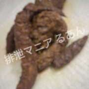 ヒメ日記 2026/10/01 22:00 投稿 るあん 排泄マニア