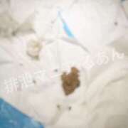 ヒメ日記 2026/10/09 10:00 投稿 るあん 排泄マニア