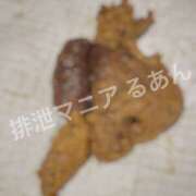 ヒメ日記 2026/10/11 22:00 投稿 るあん 排泄マニア