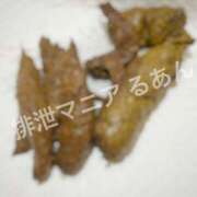 ヒメ日記 2026/10/18 17:00 投稿 るあん 排泄マニア