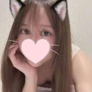 ヒメ日記 2025/07/29 07:21 投稿 ゆい ナイスレディ