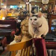 ヒメ日記 2026/01/25 00:27 投稿 ゆい ナイスレディ