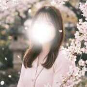 ヒメ日記 2026/03/31 23:47 投稿 ゆい ナイスレディ