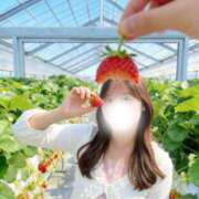 ヒメ日記 2026/04/07 12:04 投稿 ゆい ナイスレディ