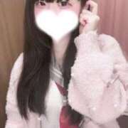 ヒメ日記 2025/12/15 17:36 投稿 よはね アラモード