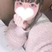 ヒメ日記 2025/12/31 10:40 投稿 よはね アラモード