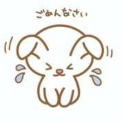 こなつ 体調不良です。 MAHARAJA(マハラジャ)千葉