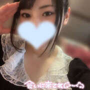 ヒメ日記 2025/06/25 16:35 投稿 くるり バイオレンス