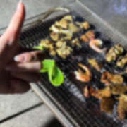 ヒメ日記 2025/08/22 16:35 投稿 くるり バイオレンス