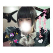 ヒメ日記 2025/12/31 23:05 投稿 くるり バイオレンス