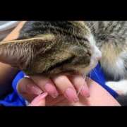 ヒメ日記 2026/01/15 01:05 投稿 くるり バイオレンス